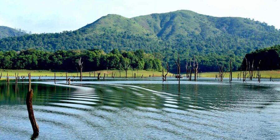 From Kochi: 3-Day Periyar Wildlife Sanctuary Tour - Key highlights at a glance