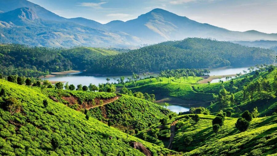 From Kochi: 3-Day Periyar Wildlife Sanctuary Tour - Kochi to Thekkady: the transfer that sets the tone