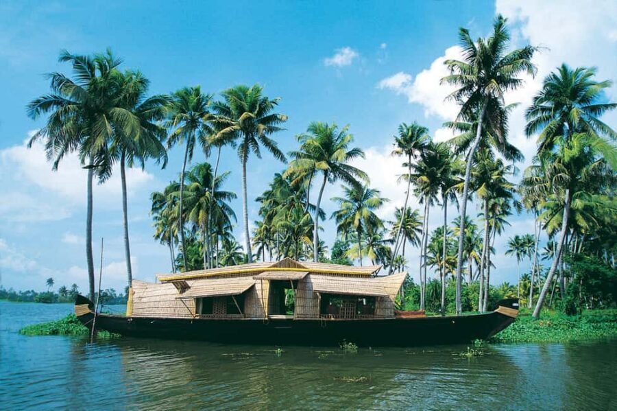 From Kochi: 3-Day Periyar Wildlife Sanctuary Tour - Day 1 in Thekkady: check-in, optional culture, and a softer landing
