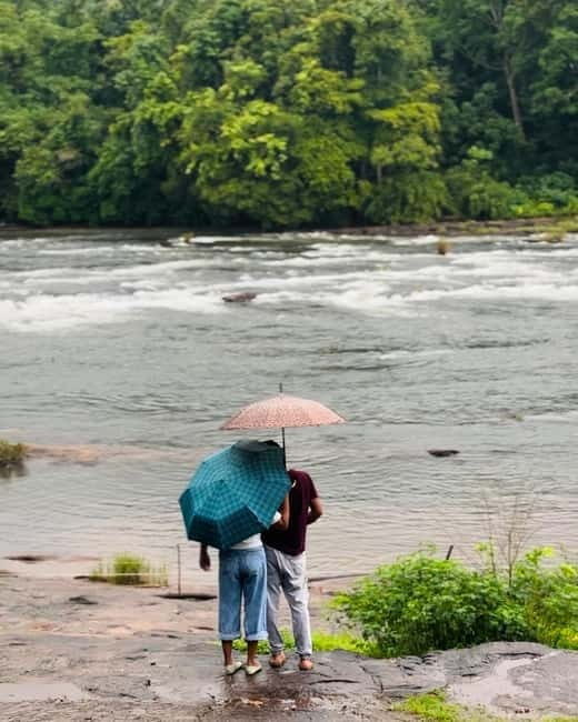 From Kochi: Athirappilly Waterfalls Day Trip with Transfers - From Ernakulam: How the Kochi pickup sets the pace