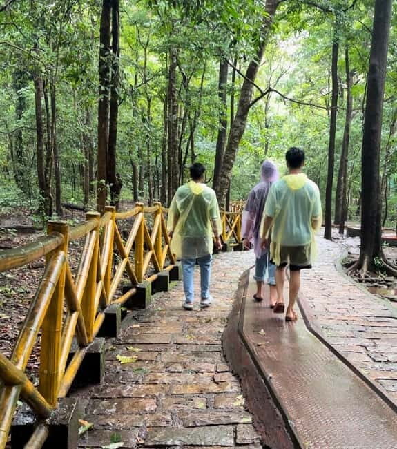 From Kochi: Athirappilly Waterfalls Day Trip with Transfers - Driver experience: safety, chat level, and local context