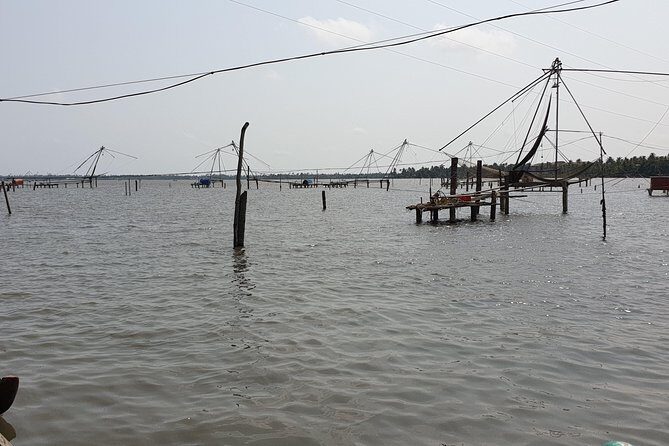 Full Day Kumbalangi Village Tour - Key Things I’d Prioritize
