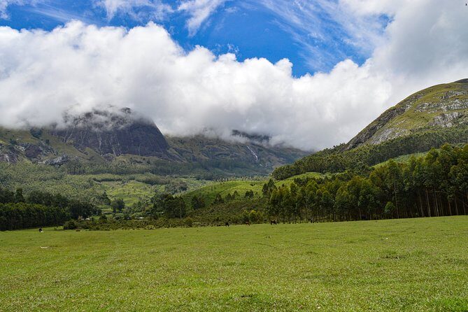 Full-Day Private Tour to Munnar from Kochi with Lunch - Key highlights to know before you go