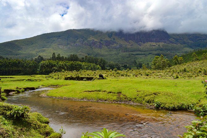 Full-Day Private Tour to Munnar from Kochi with Lunch - One-Day Munnar From Kochi: What Makes This Route Work