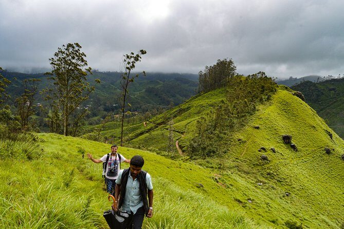 Full-Day Private Tour to Munnar from Kochi with Lunch - Tea Country at Kannan Devan Hills: A Photo-Friendly Break