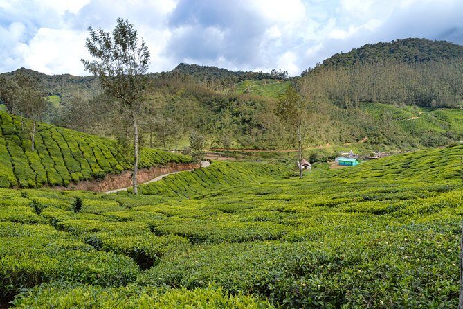 Full-Day Private Tour to Munnar from Kochi with Lunch - The Morning Stretch: Oonnukal for Veg Breakfast and a Reset