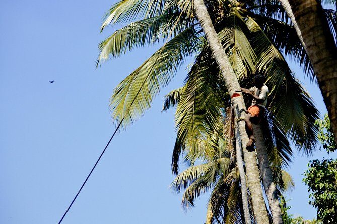 Funny and helpful Tuk Tuk Tour in Kochin - Timing: how to plan your day with a 3–4 hour loop