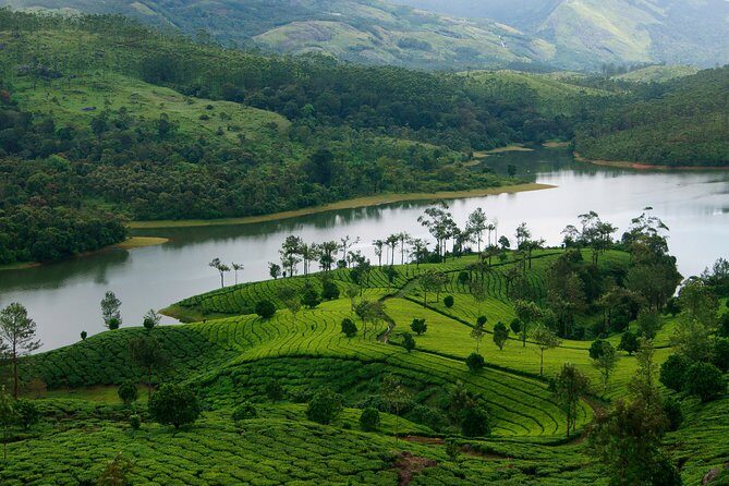 Glimpses of Kerala in 6 days Private Tour with Sanguine Holidays - Key things I’d zero in on
