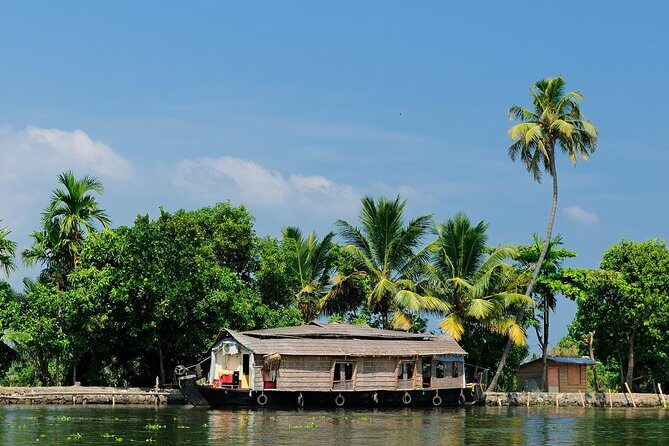 God's Own Country - KERALA (8 Days private trip) - Munnar Tea Hills: Museum Visits, Viewpoints, and a Private Jeep