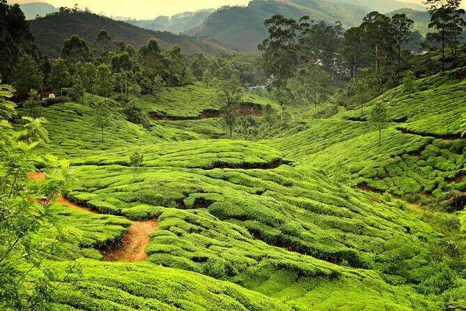 God's Own Country - KERALA (8 Days private trip) - Kathakali and Kalaripayattu Tickets: Culture Without Extra Planning
