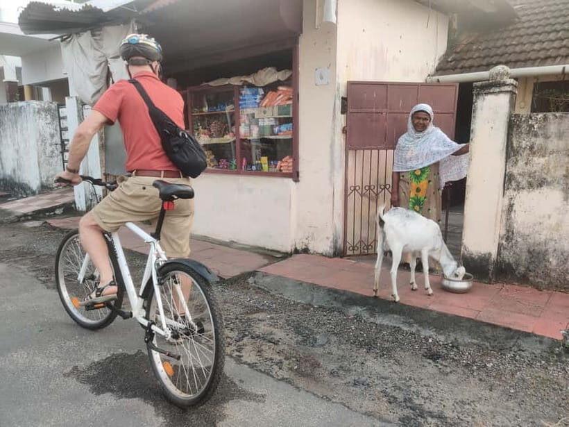 Good Morning Kochi Bicycle Tour - Who This Tour Fits Best (and Who Might Prefer Something Else)