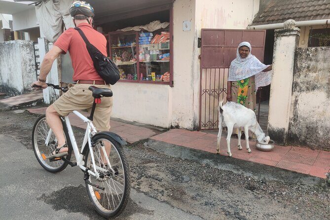 Good Morning Kochi Bicycle Tour - Meeting at Santa Cruz Cathedral Basilica and Why 7 a.m. Changes Everything