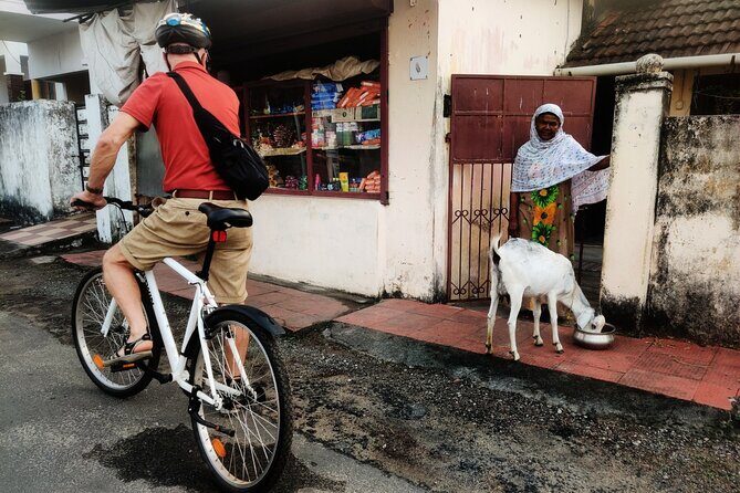 Good Morning Kochi Bicycle Tour - Mattancherry Backstreets, Spice Warehouses, and the Trade Routes You Can Feel