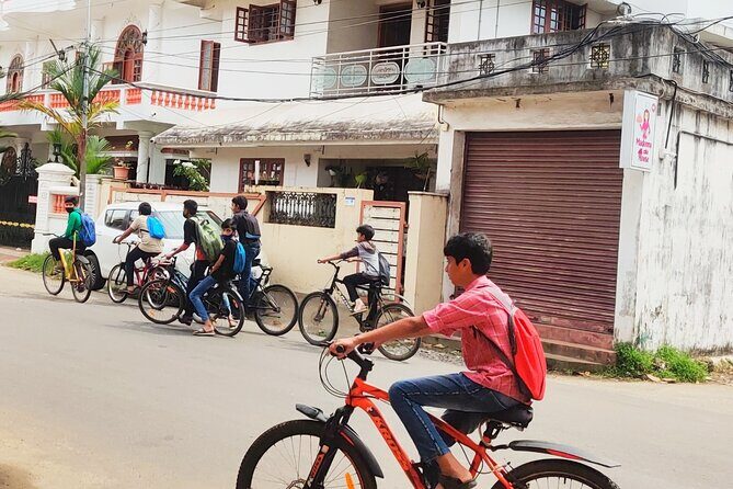 Good Morning Kochi Bicycle Tour - The Fishing Auction Moment: See Traditional Methods Up Close