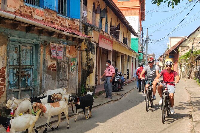 Good Morning Kochi Bicycle Tour - European Jewish Quarter and Bazaar Road: Spice Warehouses Without the Museum Vibe