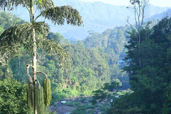 Green Magic Day Tour to Munnar - How the 6:00 am Cochin start shapes the whole day