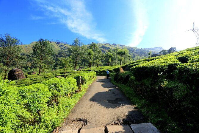 Green Magic Day Tour to Munnar - Scenic road breaks: Cheeyappara and Valara waterfalls