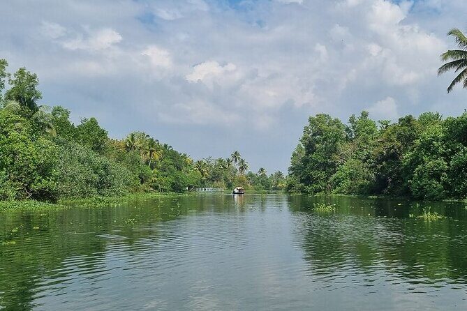 Half Day Village Backwater Eco Country Boat Cruise :Group Tour from Fort Cochin - Your guide experience: great when you want stories, quiet when you don’t