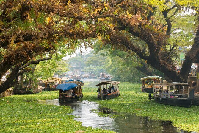 Heritage & Cultural Walk of Alleppey (Guided Walking Tour) - Getting Your Bearings in Alappuzha (Without Making It a Long Day)