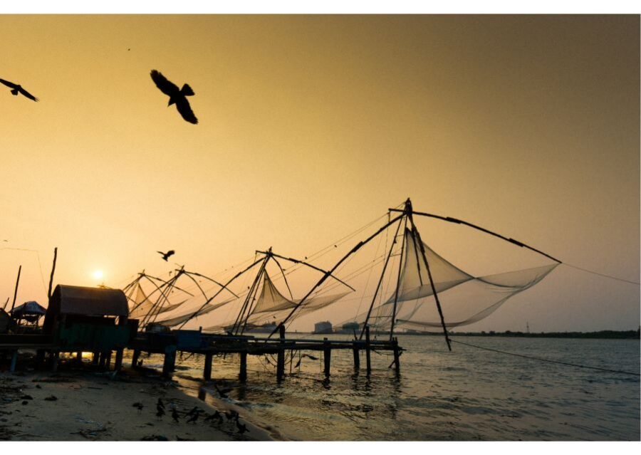 Highlights of Kochi, Guided Half-Day Tour by Car - Why a 4-Hour Guided Car Tour Fits Kochi