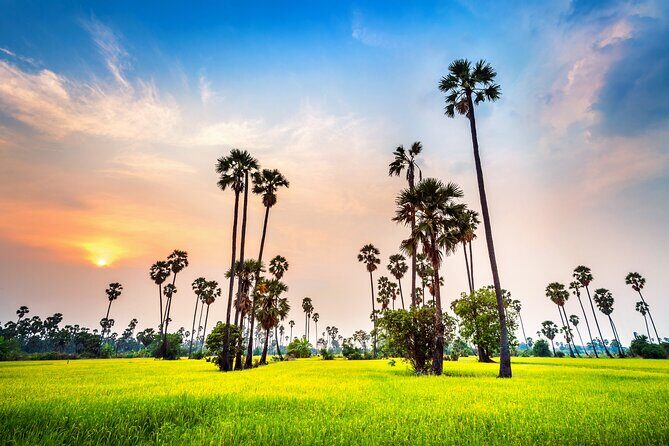 Kerala 6 Day Tour Munnar Thekkady Alleppey Kovalam Beaches - Day 4 Alleppey Backwaters on a Private Houseboat Night