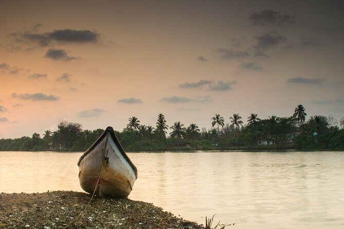 Kerala 6 Day Tour Munnar Thekkady Alleppey Kovalam Beaches - Day 2 Eravikulam National Park and the Tea Museum