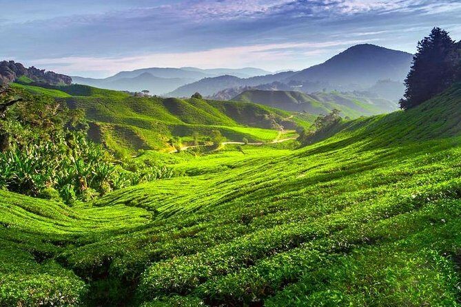 Kerala Honeymoon Special Package with Private Houseboat - Private Kerala honeymoon: why this route feels different