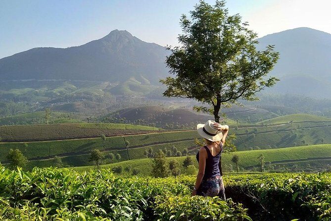 Kerala Honeymoon Special Package with Private Houseboat - Value check: what you’re paying for at $600 per person