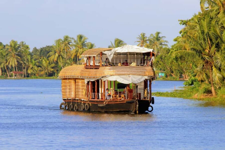 Kochi: 1 Night Alappuzha Backwaters House Boat Cruise Tour - Overnight on a Houseboat: Cabins, AC at Night, and Crew Care