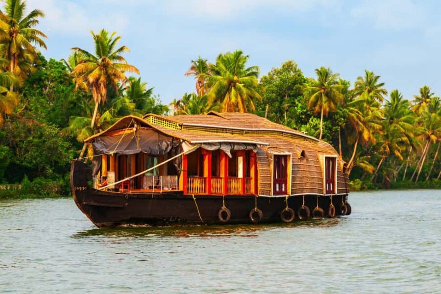 Kochi: 1 Night Alappuzha Backwaters House Boat Cruise Tour - Seeing the Backwaters the Slow Way: Coconut Palms, Paddy Fields, and Village Canals