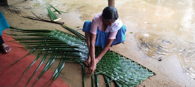 Kochi: Backwater Exploration in Village: Free Pickup & Drop - Key things to know before you go