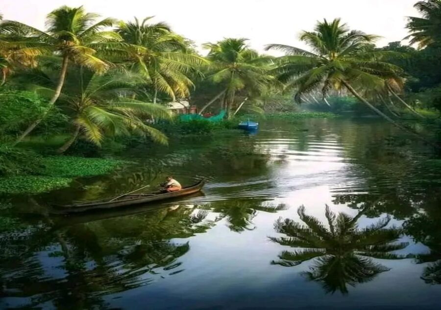 Kochi: Backwater Exploration in Village: Free Pickup & Drop - What to Pack (And the One Comfort Tip That Matters)