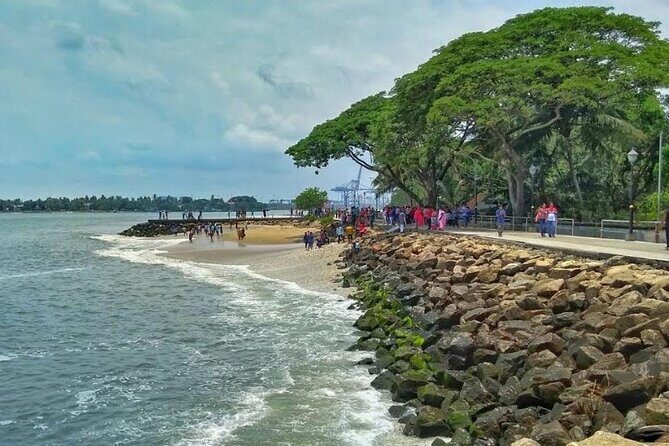 Kochi Heritage walk for cultural immersion - Price and value: $55 for a guided cultural route