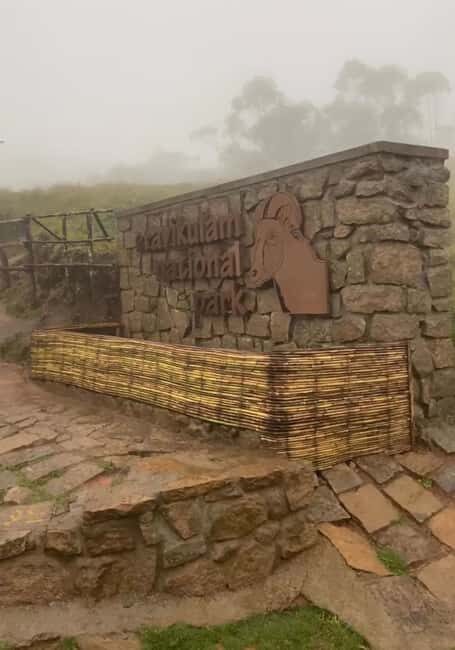 Kochi to Munnar: Eravikulam, lockhart & Waterfalls day tour - Eravikulam National Park and the Nilgiri Tahr: your wildlife window