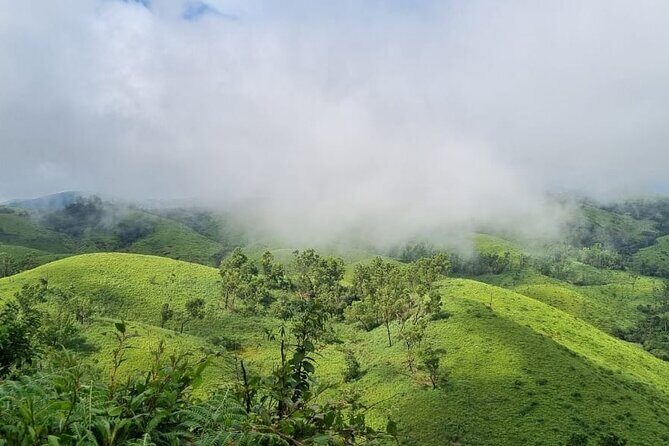 Kochi to Munnar Private Full Day Guided Tour With Hotel Pickup - Key things you’ll notice on this Munnar day trip