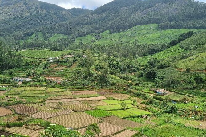 Kochi to Munnar Private Full Day Guided Tour With Hotel Pickup - Private hotel pickup and guide: comfort, safety, and an unhurried pace