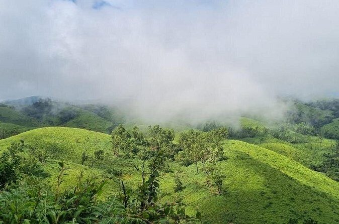 Kochi to Munnar Private Full Day Guided Tour With Hotel Pickup - Cheeyappara Waterfalls: quick ticket-in, quick wow-out
