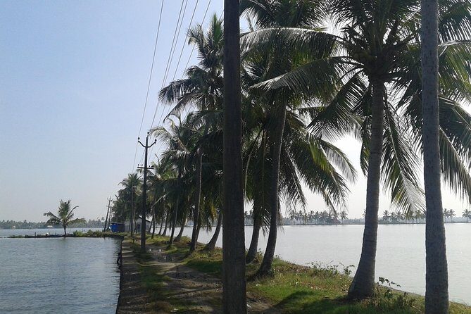 Kochi Village Life Experience tour - The Real Tour of Kochi ! - Key highlights worth your attention
