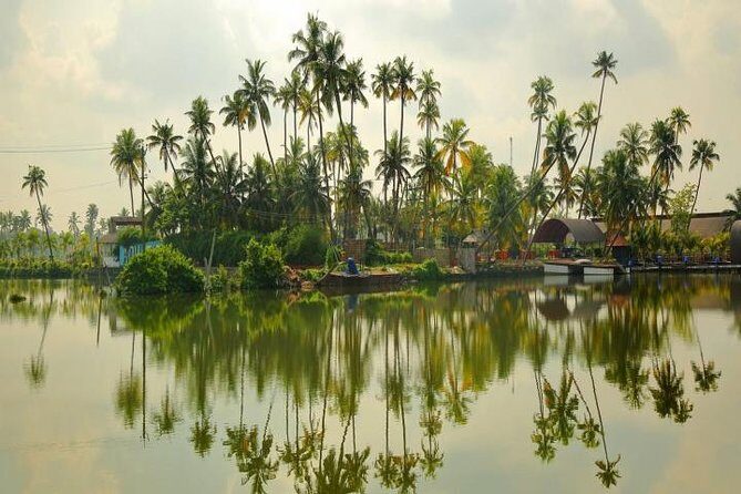 Kumbalangi Village Sightseeing Tour - Getting picked up and planning your 4 to 8 hours