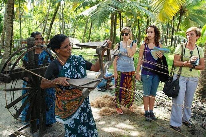 Kumbalangi Village Sightseeing Tour - Stop in Kumbalangi: fishing life, nets, and backwater mangroves