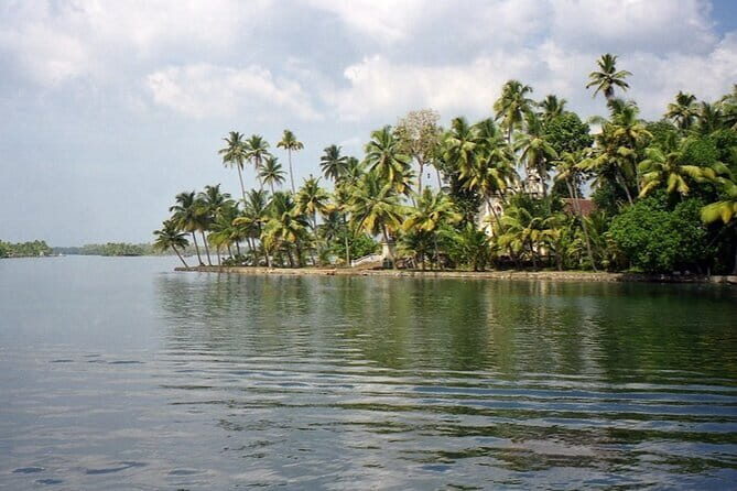 Midday Cruise with Village Life - Key highlights you’ll feel fast