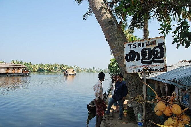 Midday Cruise with Village Life - Second stop: the bird sanctuary and the migratory season story