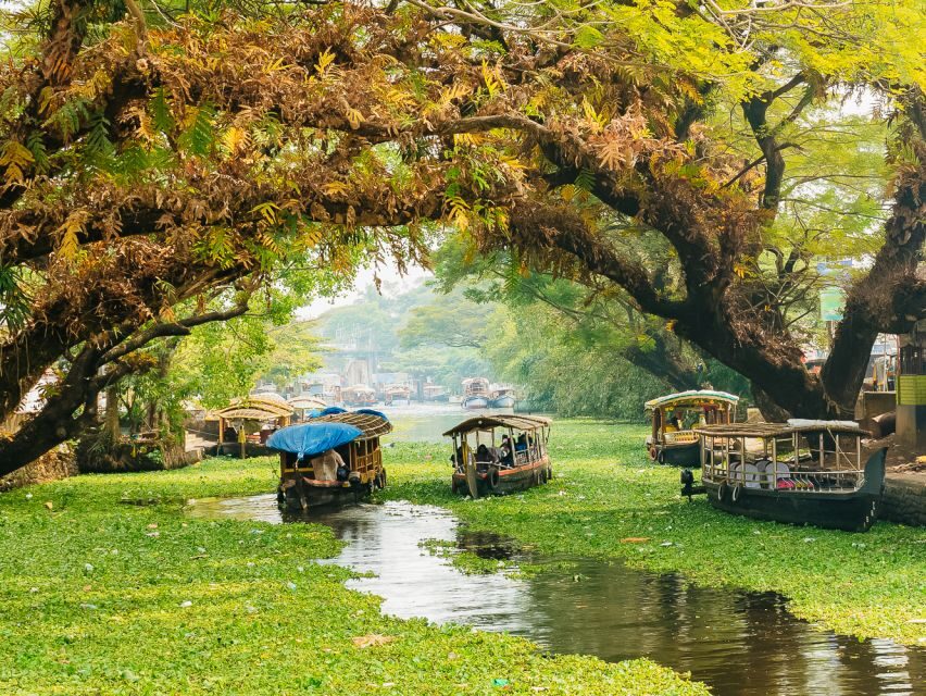 Mumbai Shore Excursion - Price and Value: $110 for a Guided Day in Mumbai
