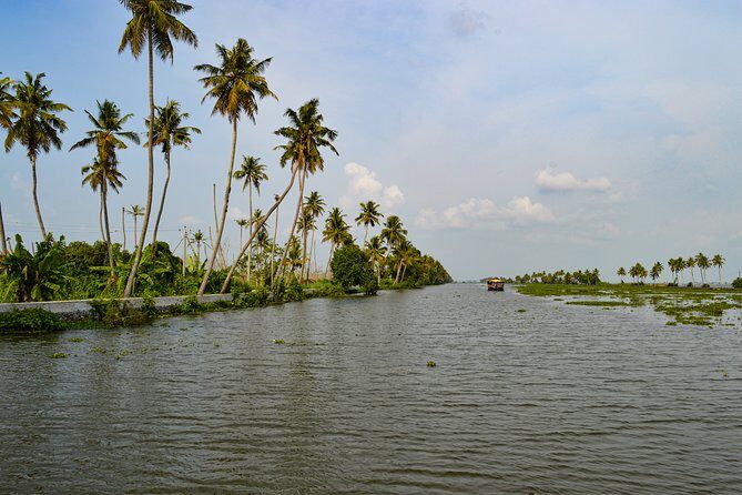 Private Alleppey Backwater Houseboat DayTour with Taxi from Kochi - Boarding day: what the houseboat setup feels like