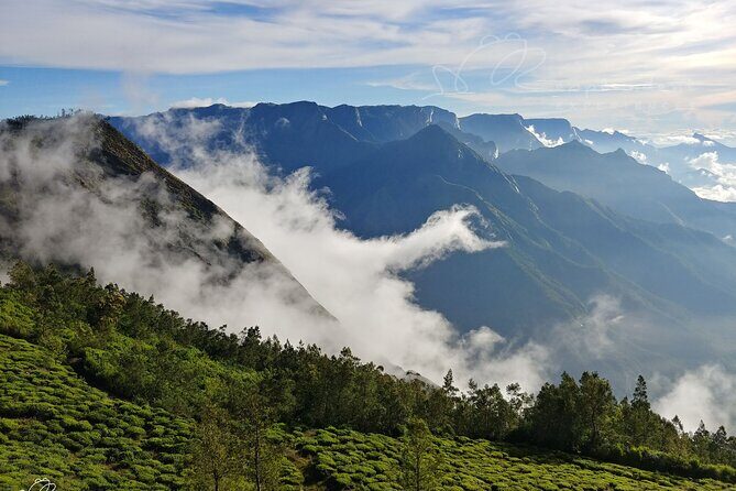 Private Day Trip to Munnar from Kochi (Cochin) - Leaving Kochi behind fast: the 6:30 a.m. rhythm