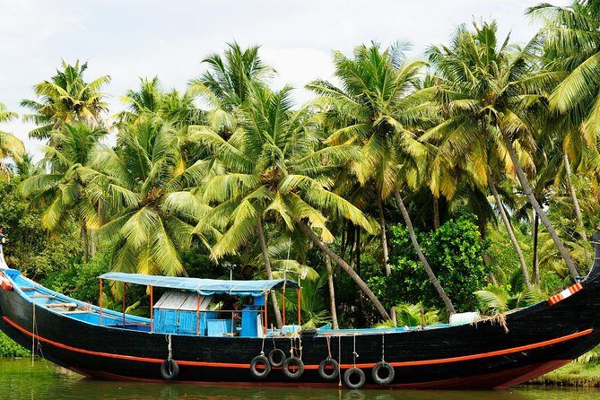 Private Overnight Alleppey Houseboat Cruise from Kochi - Why this Kochi-to-backwaters cruise works so well