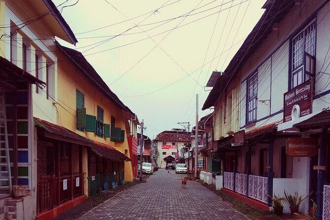 Private Tour : Glimpse of Kochi - Who should book Glimpse of Kochi?