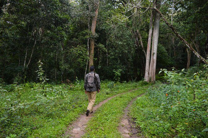Scenic Kerala : Hills, Wildlife, Backwaters & Beach Bliss- 7 Days - Price and value for two: what you’re really paying for