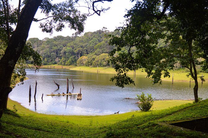 Scenic Kerala : Hills, Wildlife, Backwaters & Beach Bliss- 7 Days - Small-group pace: where this tour shines and where it can feel tight