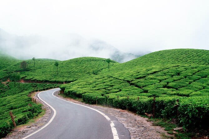 Serene Munnar Retreat: Private Tour from Kochi to the Munnar Hill - Mattupetty Dam: Western Ghats views with a simple focus